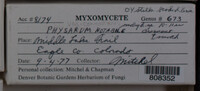 Image Associated With the Occurence
